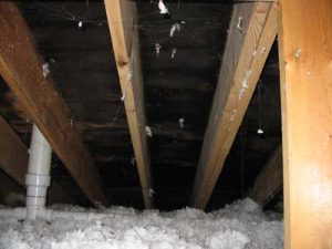 Attics Mold in attic from poor ventilation.