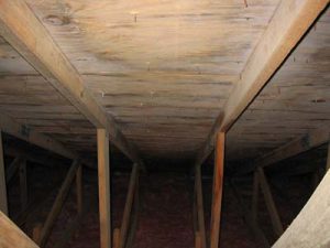 Attic mold growth Roof white mold growth from poor ventilation was toxigenic, pathogenic, and opportunistic mold Aspergillus.