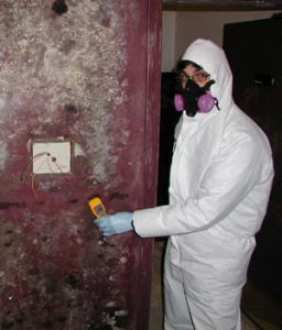 Suited for safety Mold growth up walls required a suit and mask for safety.