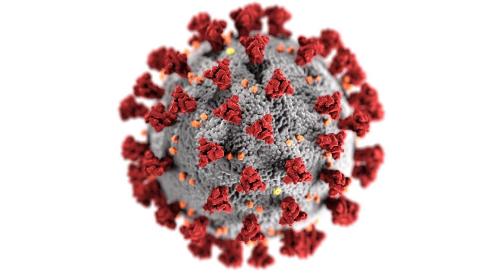 COVID-19 Virus Image